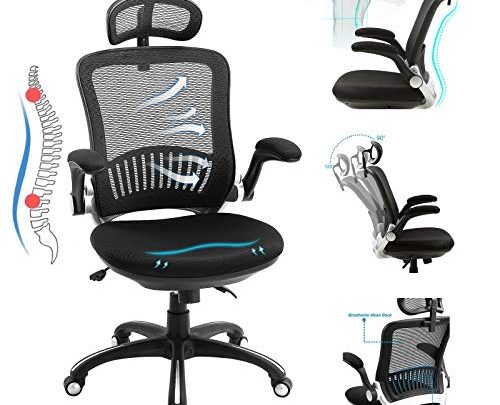 LORDWEY Ergonomic Office Chair, High Back Desk Chair Hold Up to 300IBS, Computer Chair with Adjustable Headrest, Backrest, Seat Height &Flip-up Armrests,
