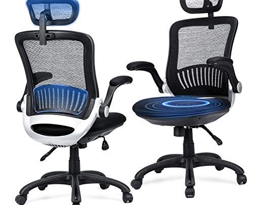 Ergonomic Office Chair – Ergousit Mesh Desk Chair with Adjustable Backrest and Flip up Armrest, Rolling Office Chair with Headrest,