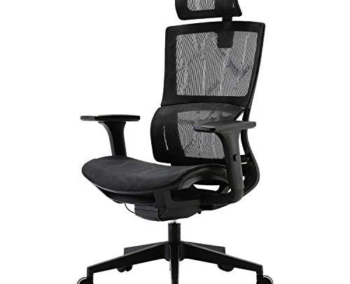 XUER Ergonomic Office Chair with Cozy Lumbar Support and Adjustable 3D Armrest, Computer Desk Chair with Mesh Seat and High Back,