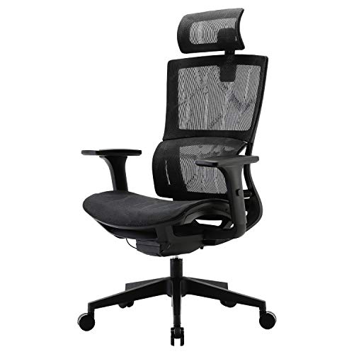XUER Ergonomic Office Chair with Cozy Lumbar Support and Adjustable 3D Armrest, Computer Desk Chair with Mesh Seat and High Back,