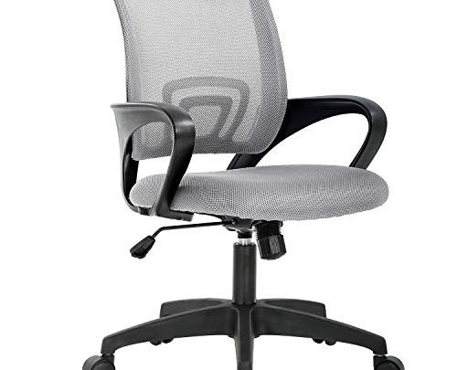 Home Office Chair Ergonomic Desk Chair Mesh Computer Chair with Lumbar Support Armrest Executive Rolling Swivel Adjustable Mid Back Task Chair for Women Adults (Grey)