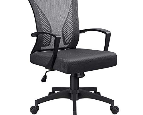 Office Chair Mid Back Mesh Desk Chair Ergonomic Lumbar Support Computer Chair Swivel Rolling Task Chair with Armrest (Black)