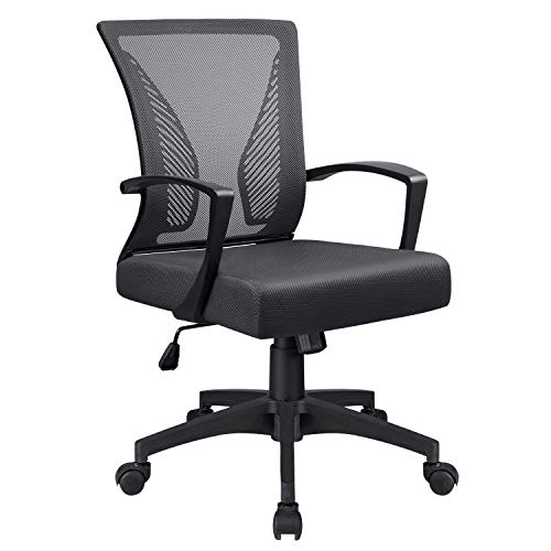 Office Chair Mid Back Mesh Desk Chair Ergonomic Lumbar Support Computer Chair Swivel Rolling Task Chair with Armrest (Black)