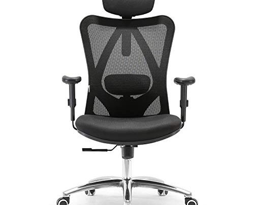 SIHOO Ergonomics Office Chair Computer Chair Desk Chair, Adjustable Headrests Chair Backrest and Armrest’s Mesh Chair (Black)…