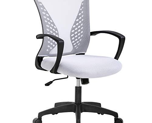 Ergonomic Office Chair Desk Computer Mesh Executive Task Rolling Gaming Swivel Modern Adjustable with Mid Back Lumbar Support Armrest for Home Women Men,White