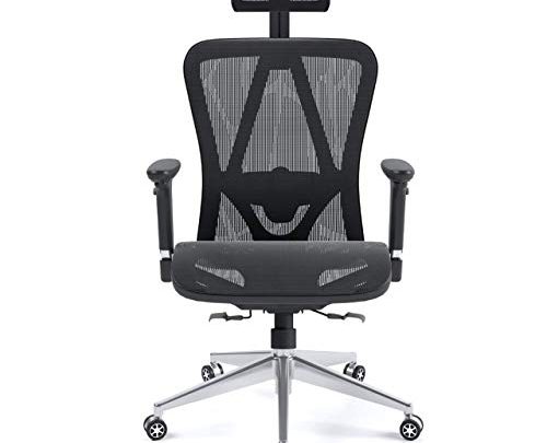 Halter Executive Ergonomic Mesh Office Chair with Adjustable Headrest and Armrest (Mesh Seat)