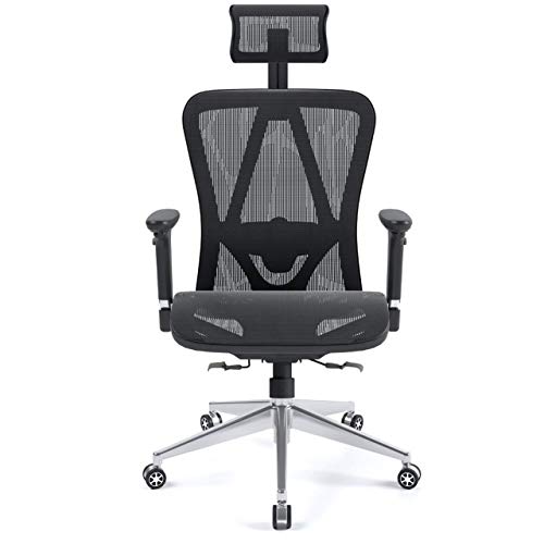 Halter Executive Ergonomic Mesh Office Chair with Adjustable Headrest and Armrest (Mesh Seat)