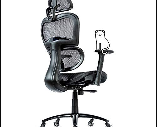 ObjectChair ErgoPro Ergonomic Office Chair – Desk Chair with Adjustable Lumbar Support, Breathable Mesh Back and Wheels – Gaming Chair, Computer Chair,