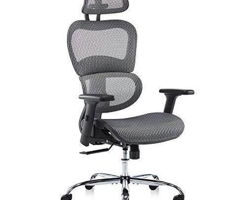 Office Chair, Ergonomics Mesh Chair Computer Chair Desk Chair High Back Chair w/Adjustable Headrest and Armrests – Grey