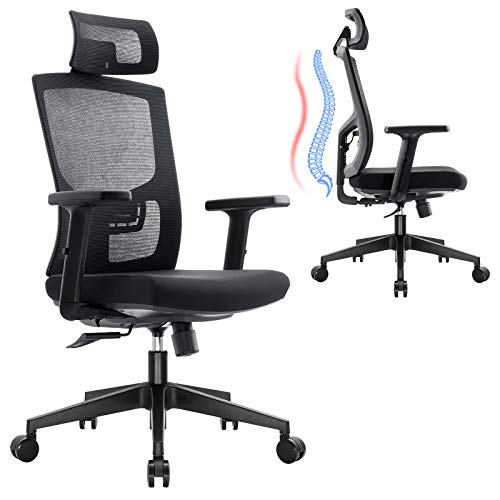 Ergousit Ergonomic Mesh Office Chair, Home Office Desk Chair High Back, Executive Swivel Computer Chair with Adjustable Lumbar Support Headrest and Armrests,