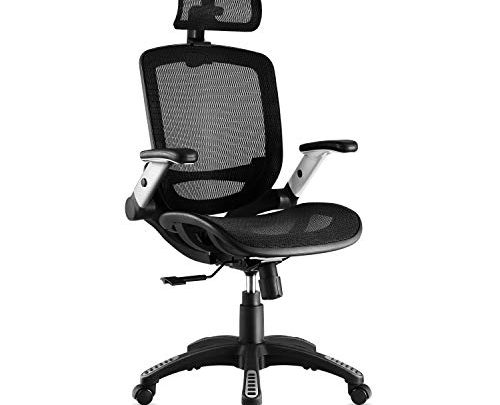 Gabrylly Office Mesh Chair, Ergonomic Desk Chair – Adjustable Headrest with Flip-Up Arms, Lumbar Support, Swivel Computer Office Chair for Home Office