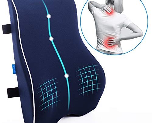 Lumbar Support Back Pillow for Office Chair Car Ergonomic Memory Foam Back Cushion for Back Pain Relief Orthopedic Backrest for Computer/Gaming Chair,