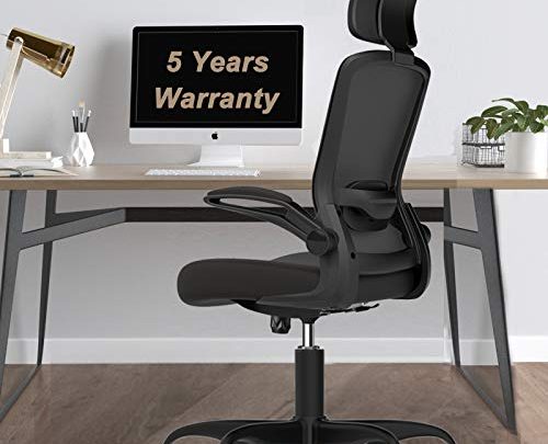 Office Chair, Mimoglad High Back Ergonomic Desk Chair with Adjustable Lumbar Support and Headrest, Swivel Task Chair with flip-up Armrests for Guitar Playing