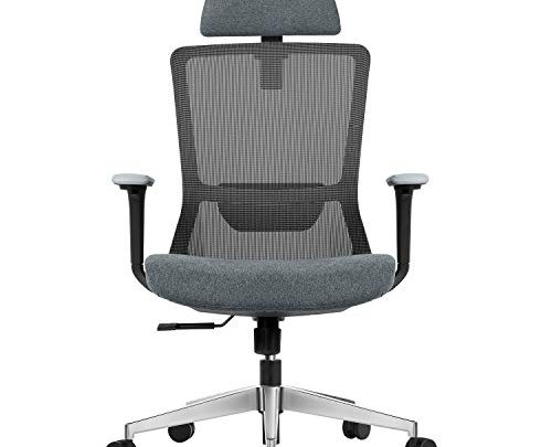 EGOSI Ergonomic Adjustable Office Chair, High-Back Desk Chair with Adjustable Lumbar Support, Breathable Mesh Chair with Thick Cushion, SGS-Certified Computer Chair