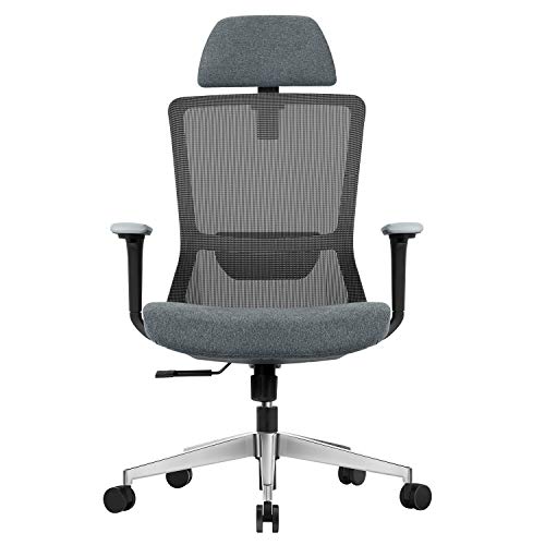 EGOSI Ergonomic Adjustable Office Chair, High-Back Desk Chair with Adjustable Lumbar Support, Breathable Mesh Chair with Thick Cushion, SGS-Certified Computer Chair