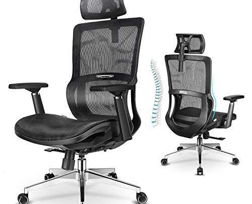 mfavour Ergonomic Office Chair Computer Mesh Chair with 3D Armrest and Cozy Lumbar Support, High Back Desk Chair with Mesh Seat,