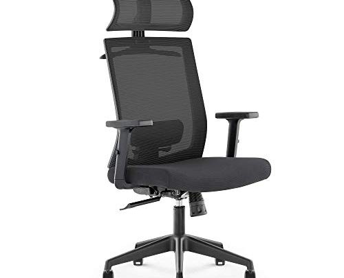 DR.PHY Ergonomic Office Recliner Chair, High-Back Desk Chair Racing Style with Lumbar Support, Height Adjustable Seat, Headrest- Breathable Mesh Back…