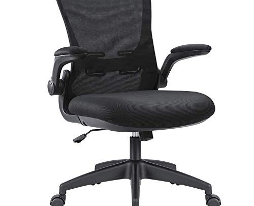 Devoko Office Desk Chair Ergonomic Mesh Chair Lumbar Support with Flip-up Arms and Adjustable Height (Black)