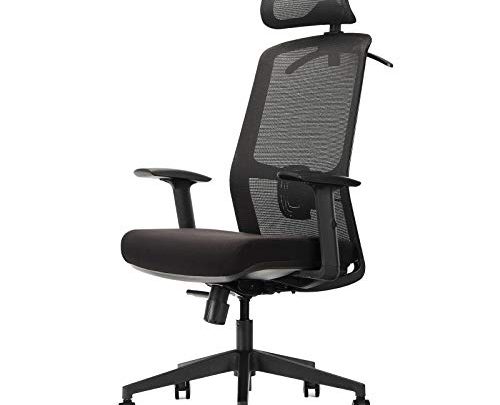 OUTFINE Ergonomic Office Chair Mesh Chair Computer Desk Chair with Adjustable Lumbar Support, Headrest, Armrest, Reclining Angles(Black)