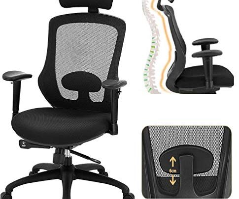 SAMOFU Ergonomic Office Chair, High Back Desk Chair with Tilting Backrest and Adjustable Headrest, Adjustable Height Swivel Chair with Lift…