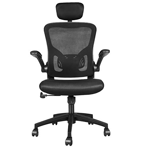 Naspaluro Ergonomics Office Chair, Computer Desk Chair with Lumbar Support, Soft Sponge Cushion, Adjustable Headrest and Flip-up 3D Arms, Reclining…