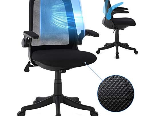 Ergousit Office Chair,Computer Desk Chair with Ergonomic Back Support and Thick Cushion,Mid Back Chair with Flip-up Arms, Adjustable Height Task…