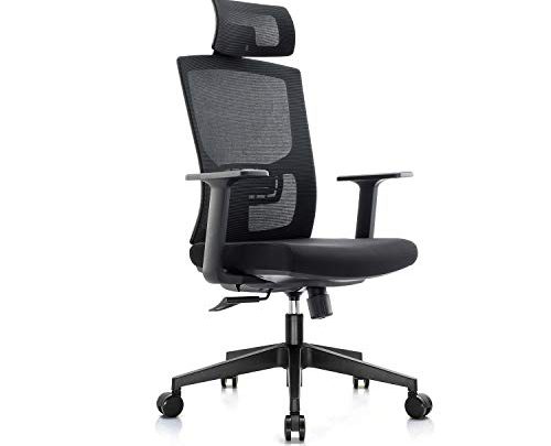 Chain Ergonomic Office Chair,High Back Adjustable Home Desk Chair with Lumbar Support and Rollerblade Wheels,High Back with Breathable Mesh,Thick Seat…