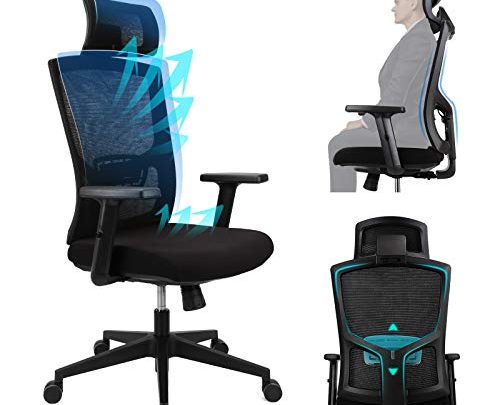 Ergousit Ergonomic Office Chair – High Back Desk Chair with Adjustable Lumbar Support &Thick Seat Cushion-Adjustable Head & Arm Rests-Seat…