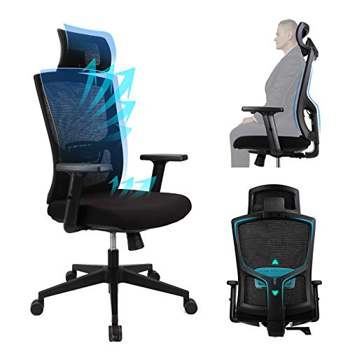 Ergousit Ergonomic Office Chair – High Back Desk Chair with Adjustable Lumbar Support &Thick Seat Cushion-Adjustable Head & Arm Rests-Seat…