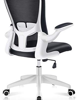 Office Chair, FelixKing Ergonomic Desk Chair with Adjustable Height, Swivel Computer Mesh Chair with Lumbar Support and Flip-up Arms, Backrest…