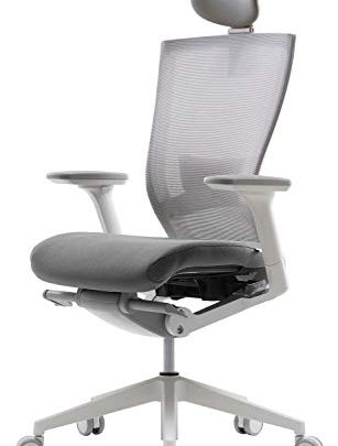 SIDIZ T50 Home Office Desk Chair : Advanced Mechanism for Your Posture, Ventilated Mesh Back, Adjustable Headrest, 2-Way Lumbar Support,…