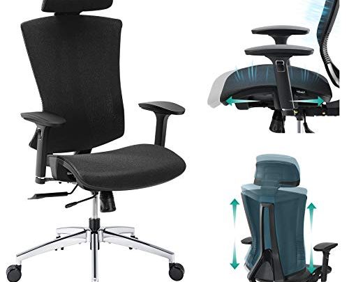 Ergonomic Office Chair, Tribesigns Ergonomic Chair with Adjustable Lumbar Support, High Back Modern Computer Chair with 3D Armrest, Seat Depth,…