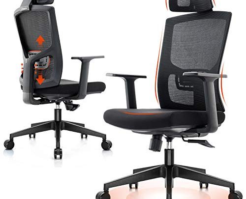 Ergonomic Office Chair – High Back Desk Chair with Adjustable Headrest&Lumbar Support, Broad Armrests, Big and Tall Swivel Chair, Tilt…