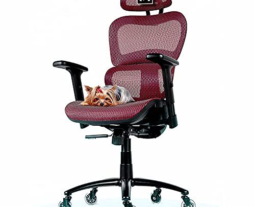 ObjectChair ErgoPro Ergonomic Office Chair with Lumbar Support and Silent Wheels, Breathable Mesh Back – Big and Tall Office Chair,…
