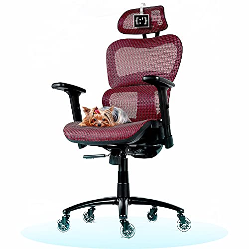 ObjectChair ErgoPro Ergonomic Office Chair with Lumbar Support and Silent Wheels, Breathable Mesh Back – Big and Tall Office Chair,…