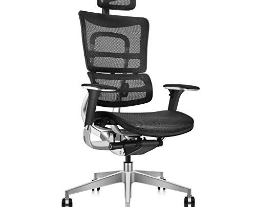 MOOJIRS Ergonomic Office Chair | Liftable Backrest Height Adj | Backrest Tilt Angle Adjustment | All-Mesh Design | Dynamic Lumbar…