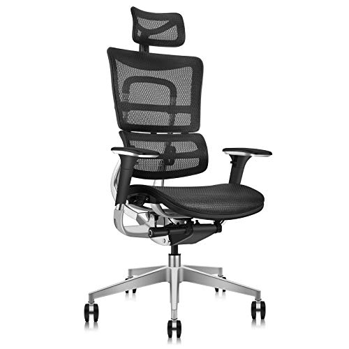 MOOJIRS Ergonomic Office Chair | Liftable Backrest Height Adj | Backrest Tilt Angle Adjustment | All-Mesh Design | Dynamic Lumbar…
