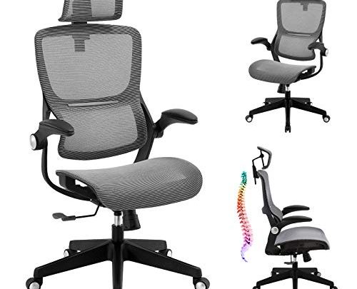 Office Chair Ergonomic Desk Chair – Mesh High Back 3D Lumbar Support Computer Chair, Adjustable Height & Headrest, Swivel Executive…