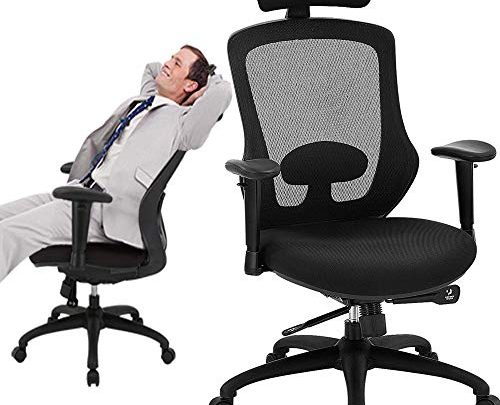 Nobofeeling High Back Office Chair, Ergonomic Desk Chair with Tilting & Lock Backrest and Lift Lumbar, Adjustable Height Swivel Task…