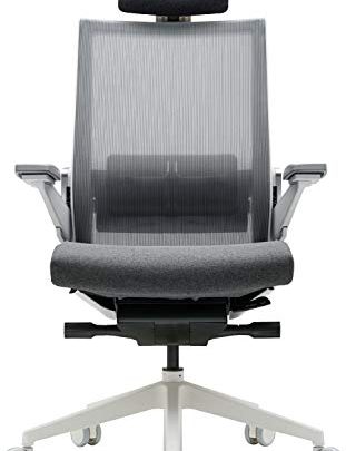 SIDIZ T80 Highly Adjustable Ergonomic Office Chair : German Ultimate Sync Mechanism for Extreme Comfort, Headrest, Ventilated Mesh Back, Lumbar…