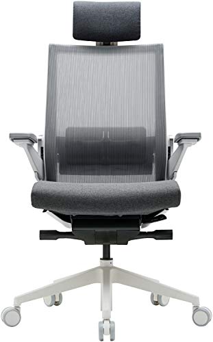 SIDIZ T80 Highly Adjustable Ergonomic Office Chair : German Ultimate Sync Mechanism for Extreme Comfort, Headrest, Ventilated Mesh Back, Lumbar…