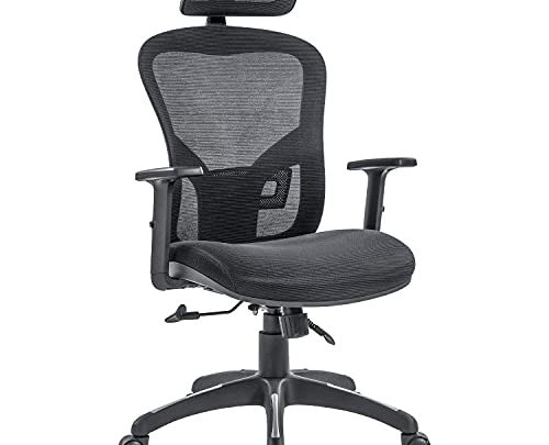 RYDESIGN Ergonomic Office Chair with Adjustable Headrest and Lumbar Support, High Back Mesh Desh Chair, Comfortable Executive Swivel Office Task…