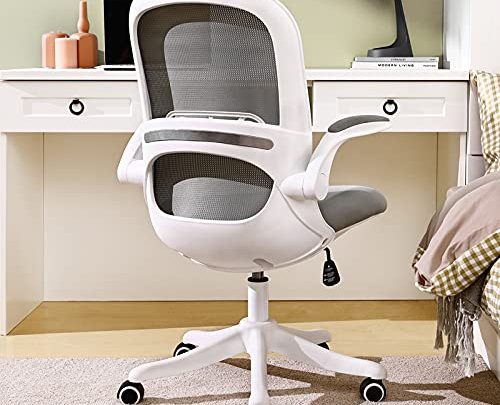 Home Office Desk Chair Ergonomic Computer Chair with Flip-Up Armrests Lumbar Support, Eggshell Chair, Small Cute Task Chair, Pink Modern…