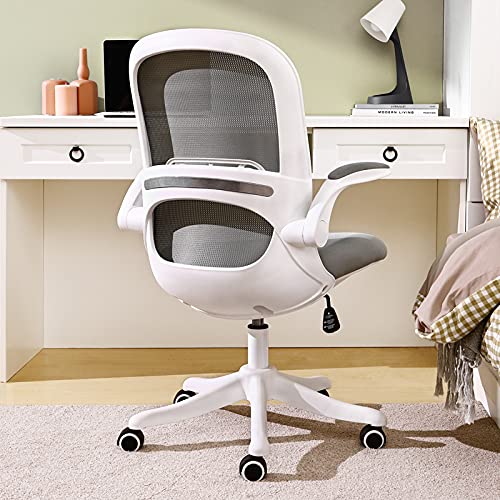 Home Office Desk Chair Ergonomic Computer Chair with Flip-Up Armrests Lumbar Support, Eggshell Chair, Small Cute Task Chair, Pink Modern…