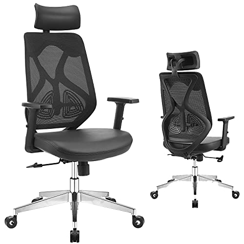 WORKSMYTH Breathable Mesh Back Ergonomic Office Chair, High Back Computer Desk Chair with Adjustable Headrest Lumbar Support and Armrest, Hubless…