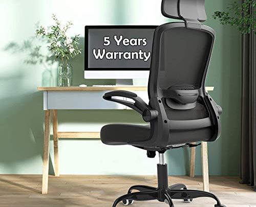 Office Chairs, Ergonomic Desk Chair with Adjustable Lumbar Support, BIFMA Passed Gaming Chair, High Back Mesh Computer Chair with Flip-up…