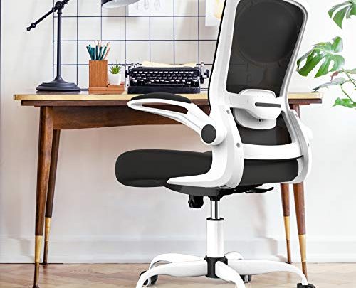 Mimoglad Office Chair, Ergonomic Desk Chair with Adjustable Lumbar Support, High Back Computer Chair Adjustable Height Swivel Task Chair with…
