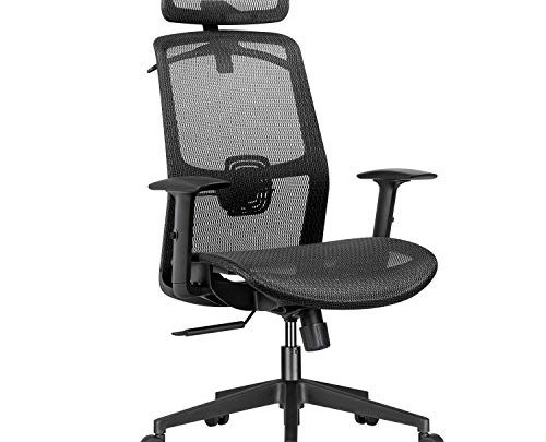 Furmax Ergonomic Office Chair Executive Chair with Mesh Seat High Back Computer Desk Chair with Adjustable Headrest Lumbar Support Armrest…