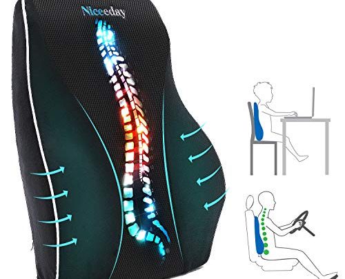 Lumbar Support Pillow for Office Chair Car Lumbar Pillow Lower Back Pain Relief Memory Foam Back Cushion with 3D Mesh…