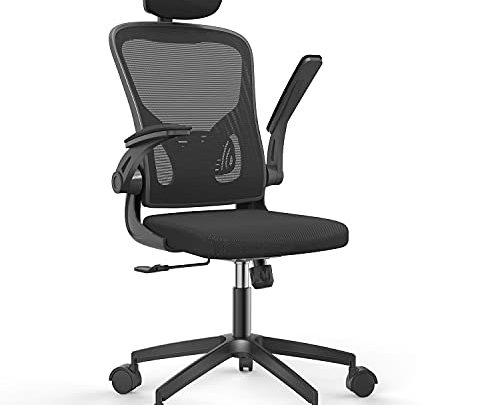 naspaluro Home Office Chair Ergonomics Computer Chairs with Adjustable Lumbar Support and Headrest Flip-up 3D Arms Comfortable Breathable mesh Design…